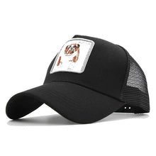 Load image into Gallery viewer, Animal Cap